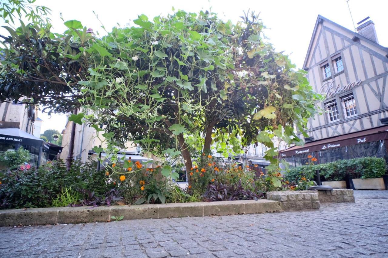 Le Perroquet Fringant, Rue Pietonne Et Quartier Historique Apartment Caen Exterior photo